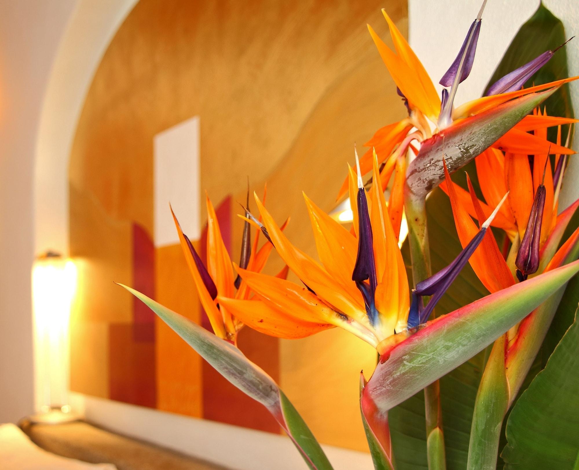 Posada Del Tepozteco - Hotel & Gallery เตโปซตลัน ภายนอก รูปภาพ
